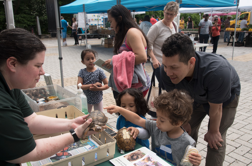 Arlington Mill Market 2019