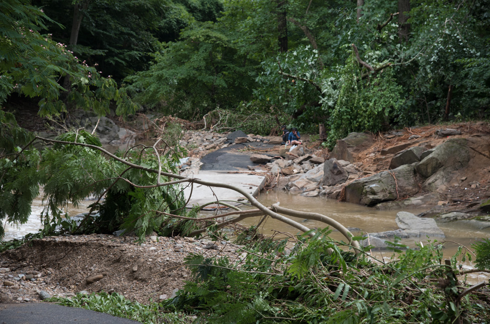 Storm Damage in Glencarlyn Park July 2019 