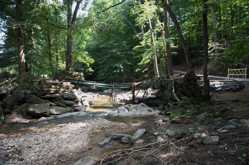 Storm Damage in Glencarlyn Park July 2019 