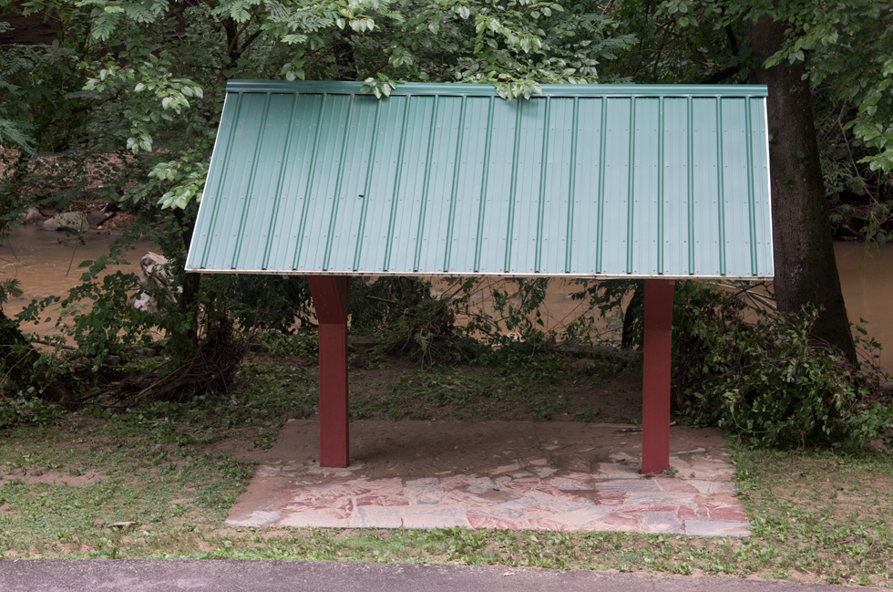 Storm Damage in Glencarlyn Park July 2019 